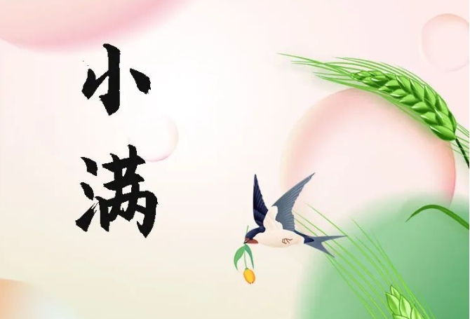 小滿 | 盈而未滿 恰得圓滿