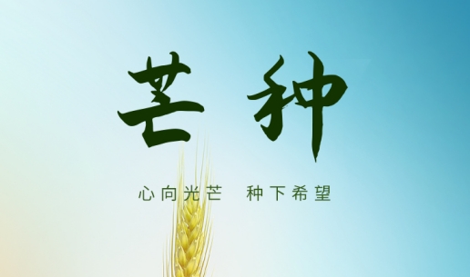 芒種 | 不負時光 所種皆有所得