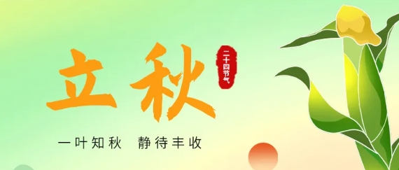 立秋 | 一葉知秋 靜待豐收