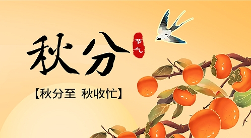 秋分 | 金秋時節 “豐”景正好
