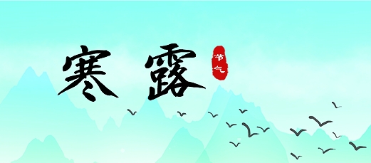 寒露 |  寒露沁秋色 碩果驚時光